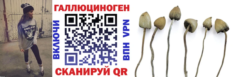 купить закладку  Заозёрный  Галлюциногенные грибы мицелий 